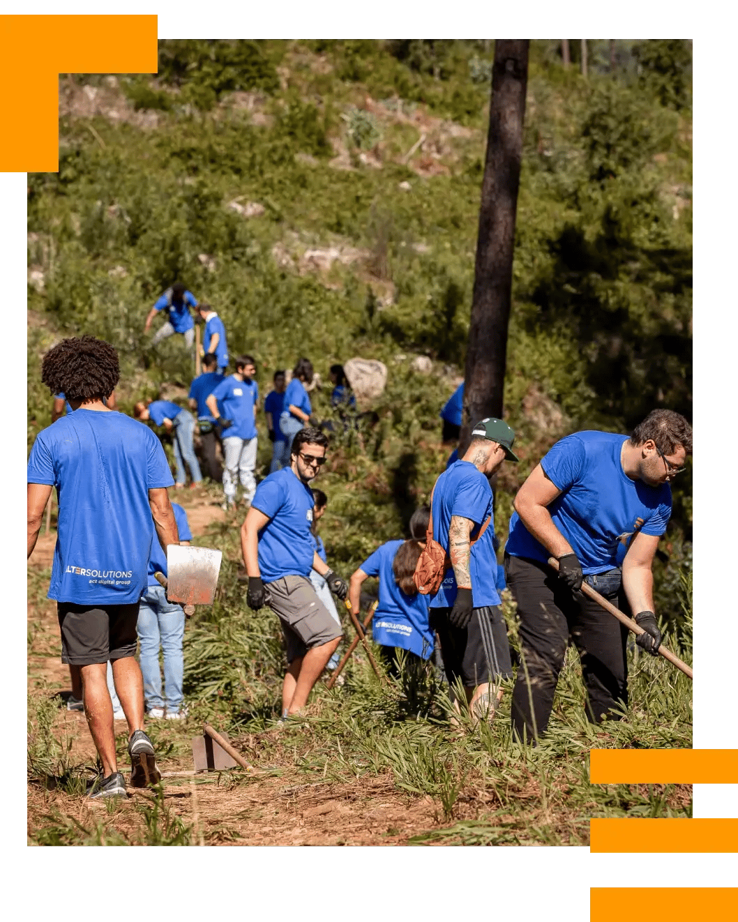 Expertos de Alter Solutions trabajando en equipo en una actividad al aire libre con fines medioambientales