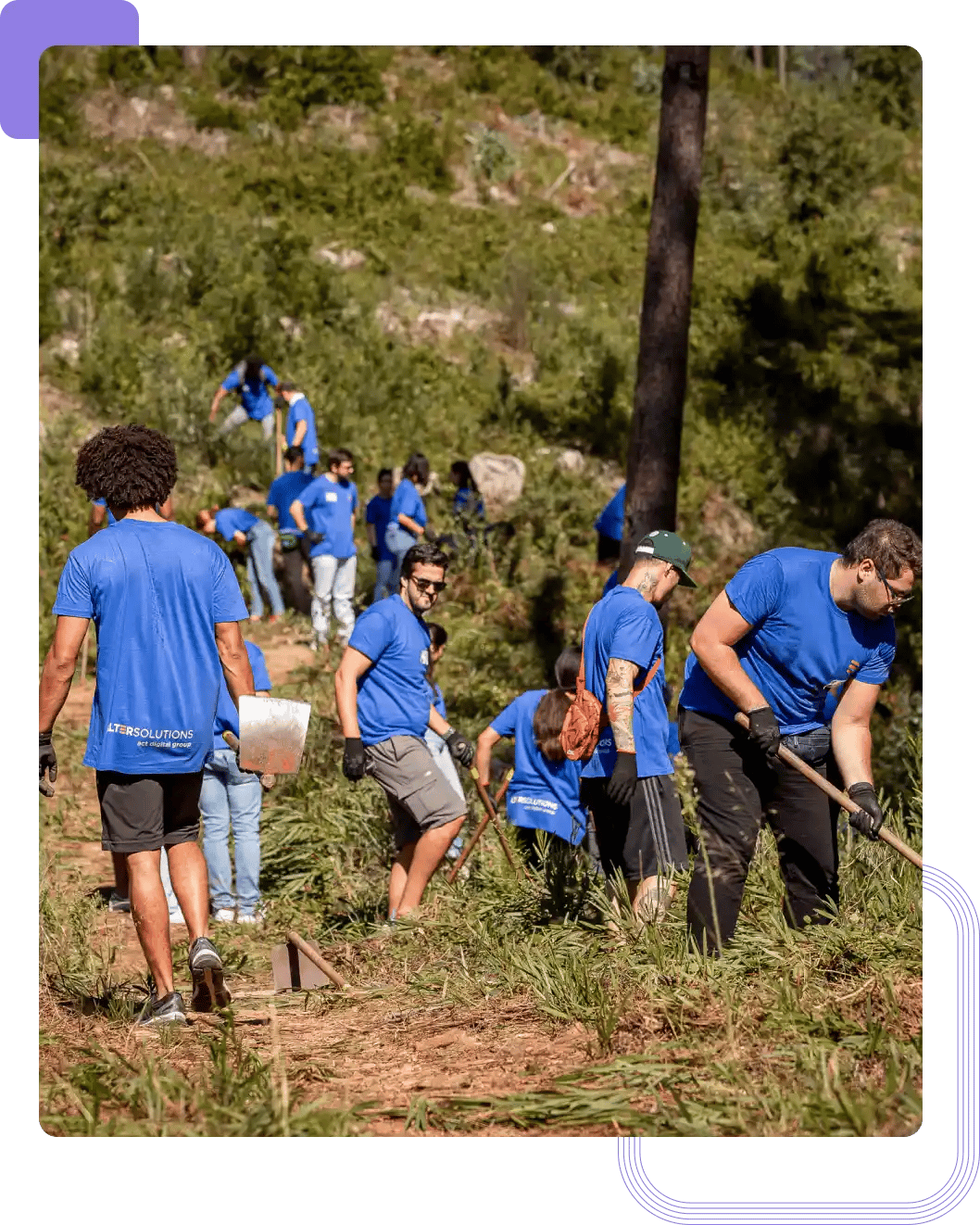 Expertos de Alter Solutions trabajando en equipo en una actividad al aire libre con fines medioambientales